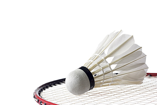 超凡的洞察 超凡的洞察