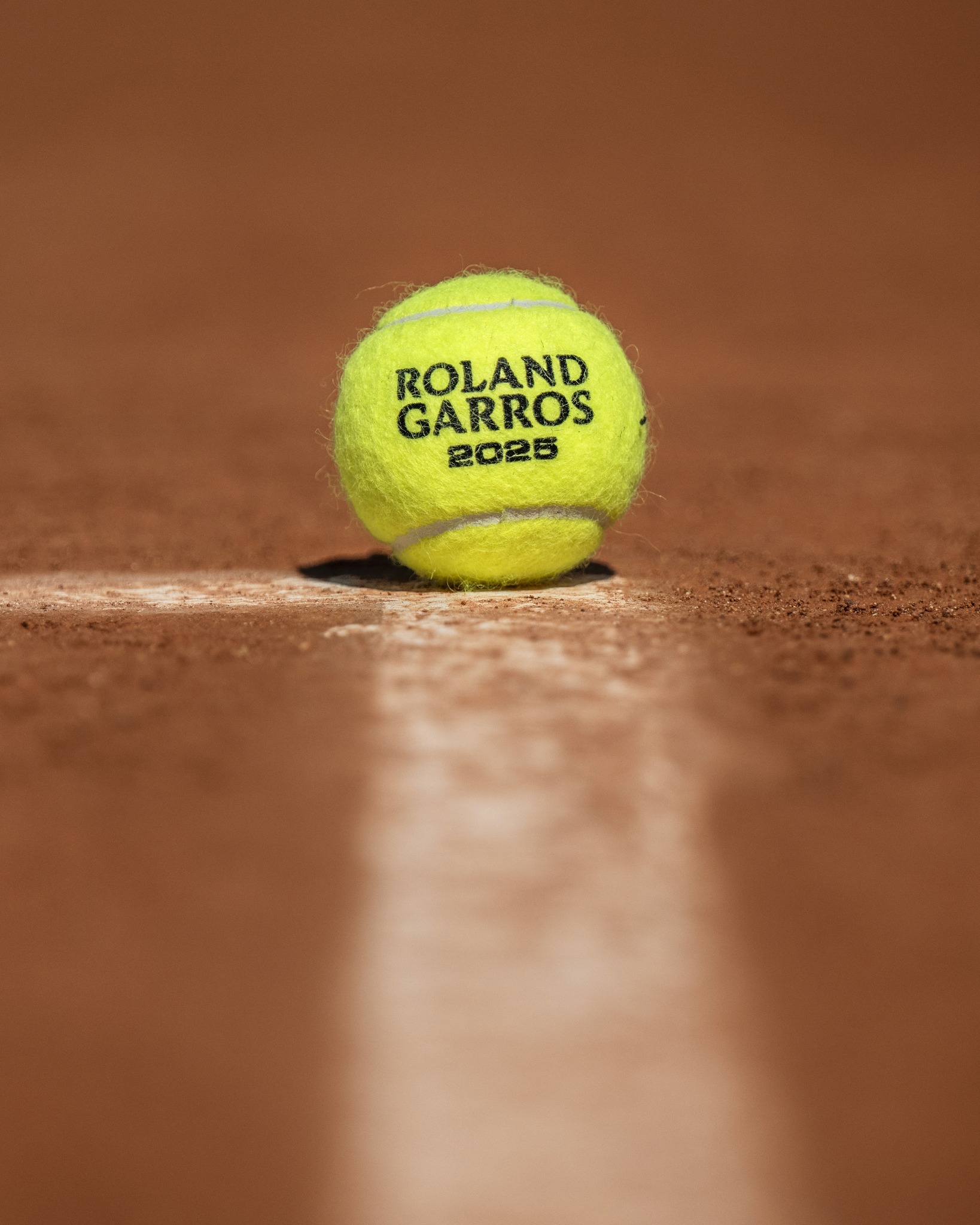 他的成绩曲 他的成绩曲